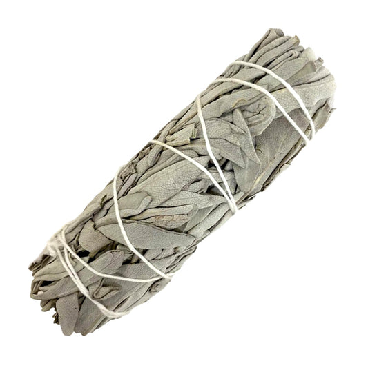 White Sage Smudge - Bundle 6"